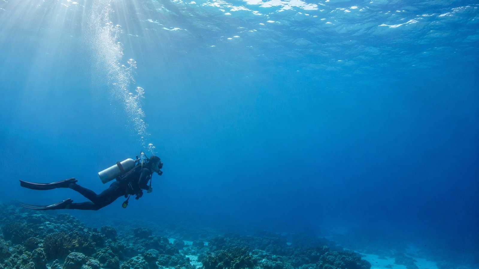 Professional scuba training
